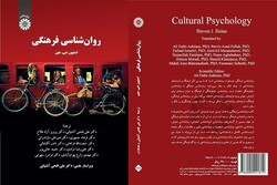 “Cultural Psychology”