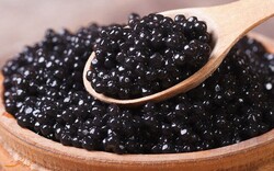 Caviar museum