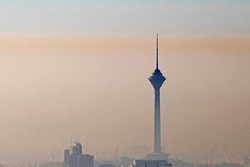 Tehran air pollution incurs daily loss of $7m