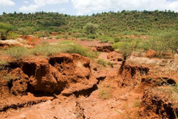 Soil erosion control requires special attention
