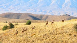 Special budget allocated to protect biosphere reserves