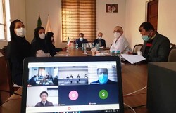 Iranian, Japanese museums discuss preservation, exploitation of cultural heritage