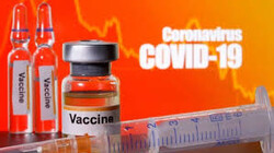 Western COVID-19 vaccines