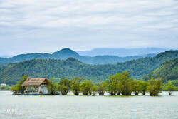 Estil Lagoon