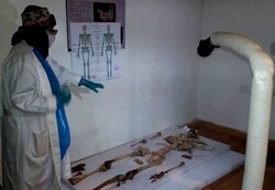 Iran, Germany to arrange exhibit on salt mummies