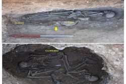 DNA obtained from ancient skeletons found in northern Iran