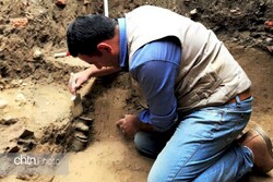 ‘Unique’ relics unearthed in northern Iran: archaeologist