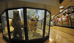 Iran’s remarkable biodiversity museum