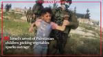 Israel's arrest of Palestinian children picking vegetables sparks outrage