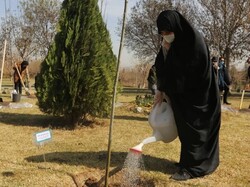 Saplings planted to commemorate ‘women of the century’