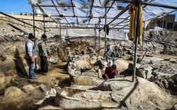 Archaeologists prepare to make final attempt to unearth temple