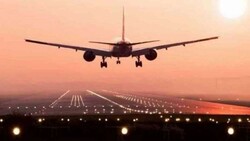 Iran suspends Iraq flights due to virus strain