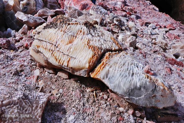 Garmsar home to largest salt mines in West Asia