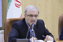 Iranian health minister Saeed Namaki