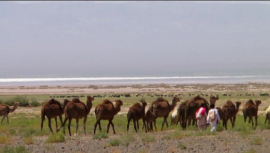 Photo of Nueve películas iraníes participan en el festival Ecocine en Brasil