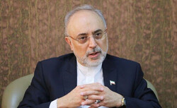 Iran's nuclear chief Salehi
