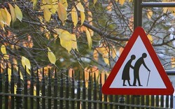 Seven metropolises to become age-friendly
