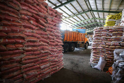 National plan implemented to fight hoarding of essential goods