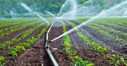 agriculture