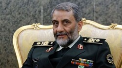 Rezaei Naja