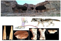 Paleolithic sewing evidence comes to light in western Iran