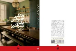 Cover of the Persian translation of Nora Ephron’s novel “Heartburn”.  