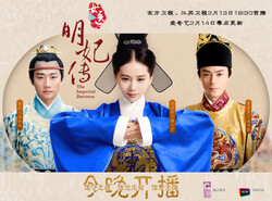 A poster for the Chinese TV series “The Imperial Doctress”.