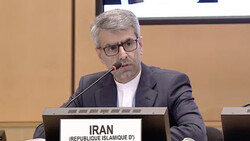 Iran's ambassador to UN rights body