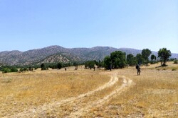 Archaeologists to shed new light on Marivan plain