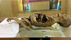 900-year-old mummy