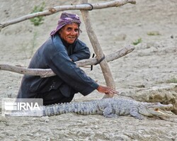 Gandos to help flourish tourism in villages of Sistan-Baluchestan