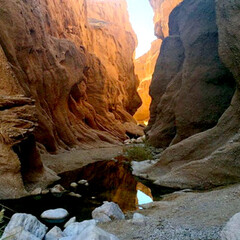 Iran seeks UNESCO recognition for Tabas Geopark