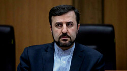 Iran's ambassador to the IAEA