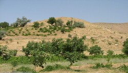 Six archaeological sites approved as national heritage in Iran