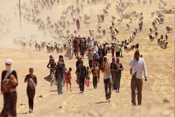Yazidis still suffering from repercussions of ISIS crimes: Yazidi activist