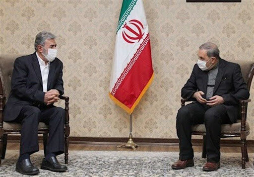 Velayati Nakhalah