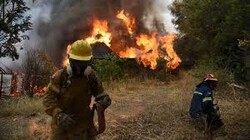 Week of wildfires wreaks havoc in Greece, force mass evacuations