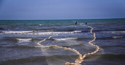 Caspian Sea level shrinks by 5-10cm on year