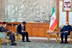 Japan's FM meets Iran's parliament speaker
