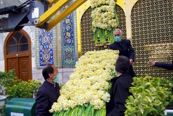 Donation of daffodils