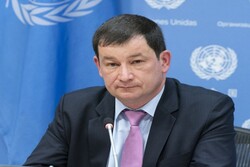 Dmitry Polyanskiy