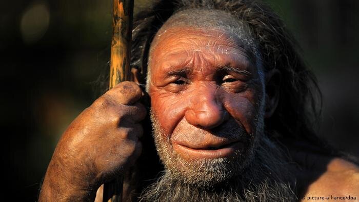 New study sheds light on Neanderthal tooth discovered in western Iran ...
