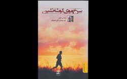 Front cover of the Persian translation of Anne Tyler’s novel “Redhead by the Side of the Road”.