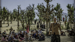 “Walnut Tree” by Mohammad-Hossein Mahdavian.