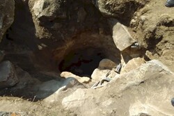 Five excavators arrested in northwest Iran