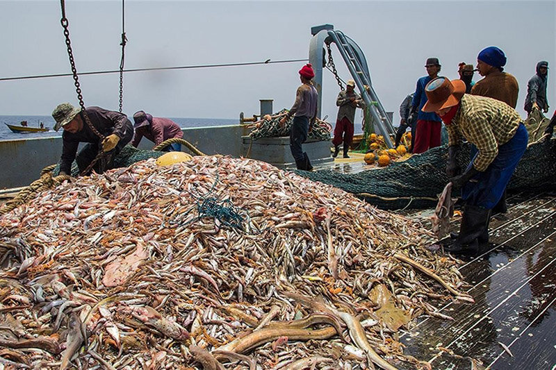 Trawling: a catastrophe that must be stopped - Tehran Times