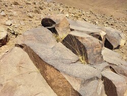 Ancient petroglyphs discovered in central Iran