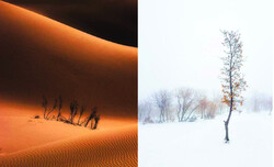 “Desert” by Pardis Maaleki and “Remains of Autumn” by Mardin Ahmadi won awards at the GPU Under 25 Photo Competition.