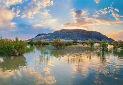 Quick-win projects aim to revive Hamoun Wetland