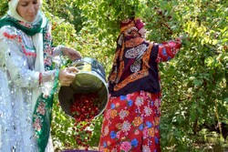 Five agritourism farms to open to public in northwest Iran